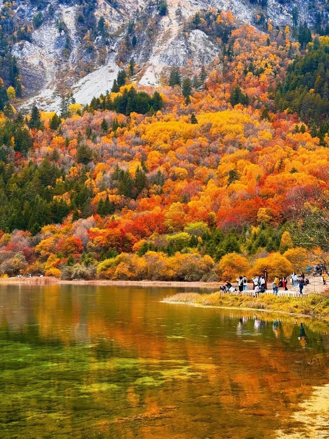 人还在工位，我已经开始期待川西的秋天了！_1_嘻嘻_稻城亚丁-川西-国庆特辑-来自52tours 我爱旅游网